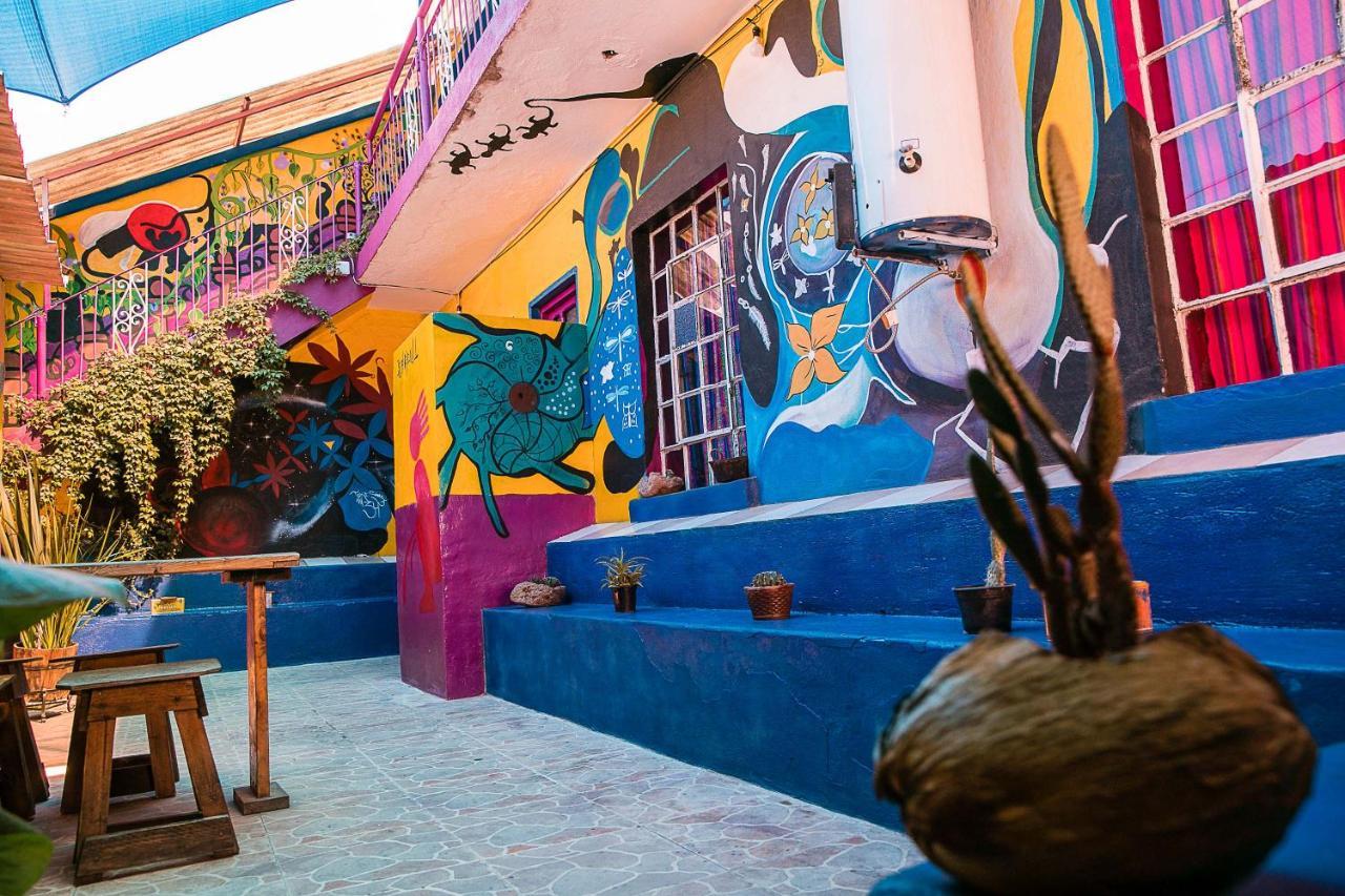 Hostal Chesal San Luis Potosi Exterior photo