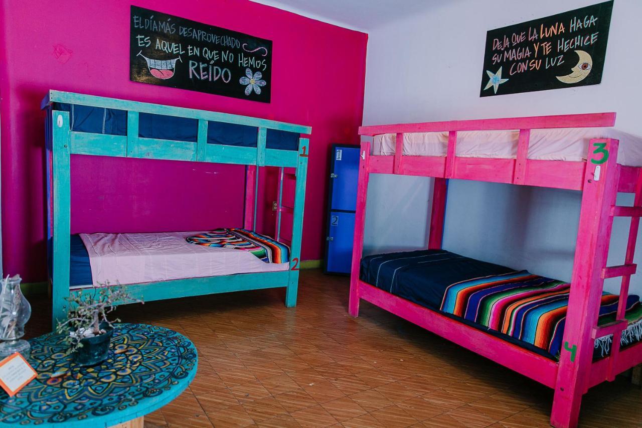 Hostal Chesal San Luis Potosi Exterior photo